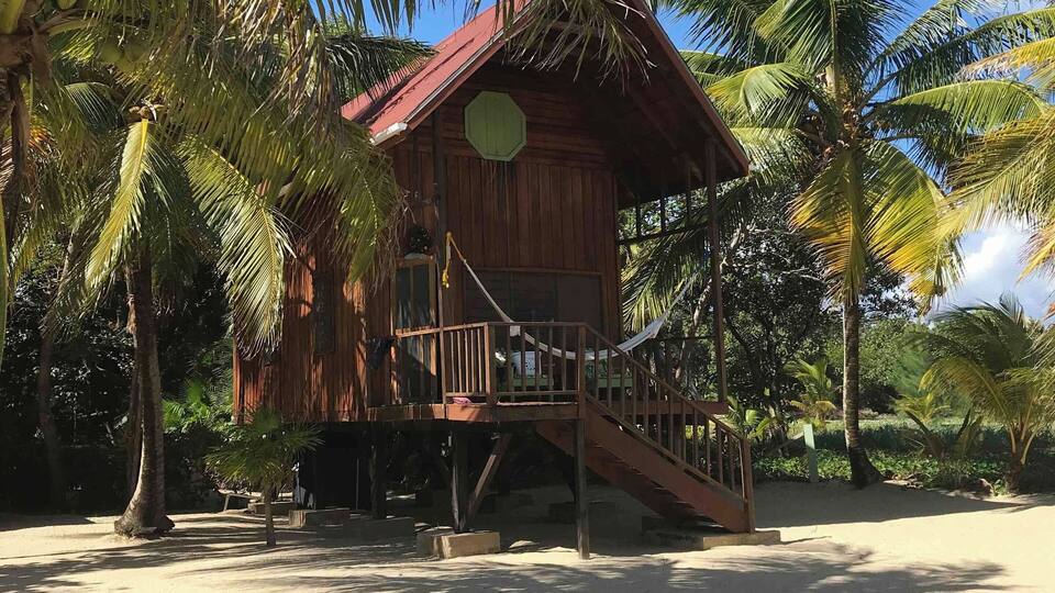 A beach house at the Green Parrot Beach Houses