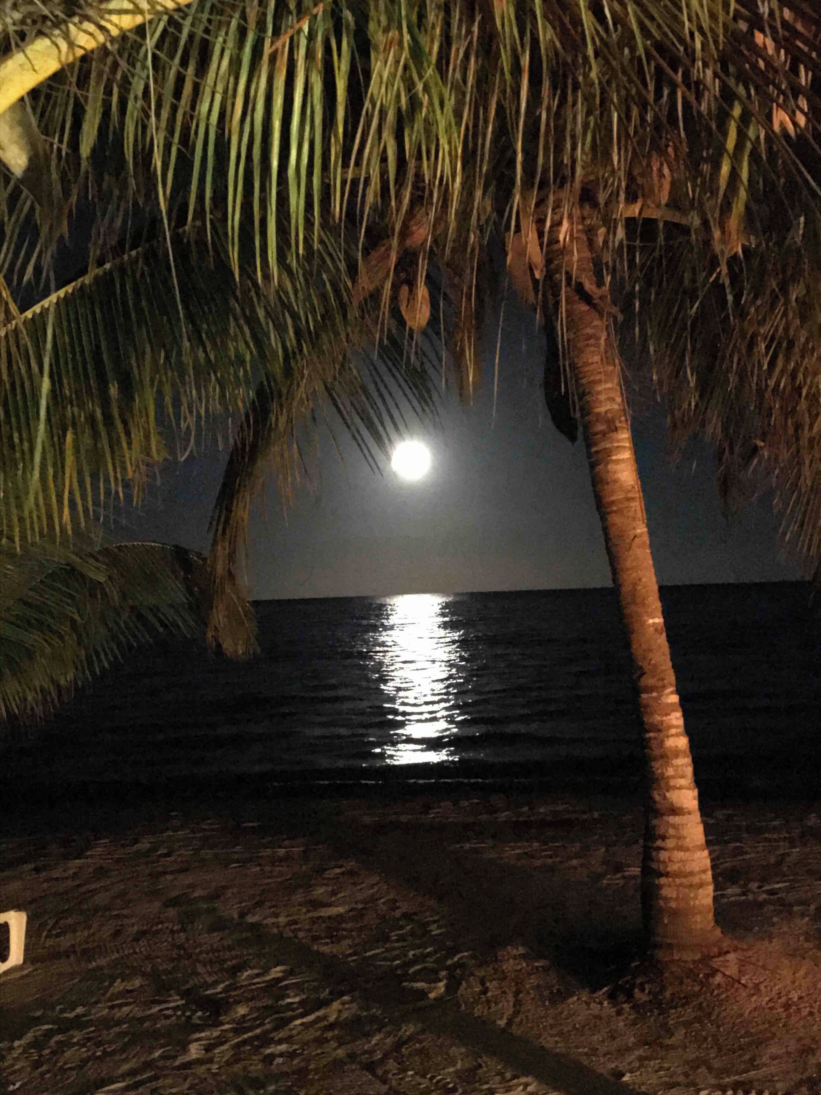 This is a view from the Green Parrot Beach Houses beach looking east into the Caribbean.  Full moon night!