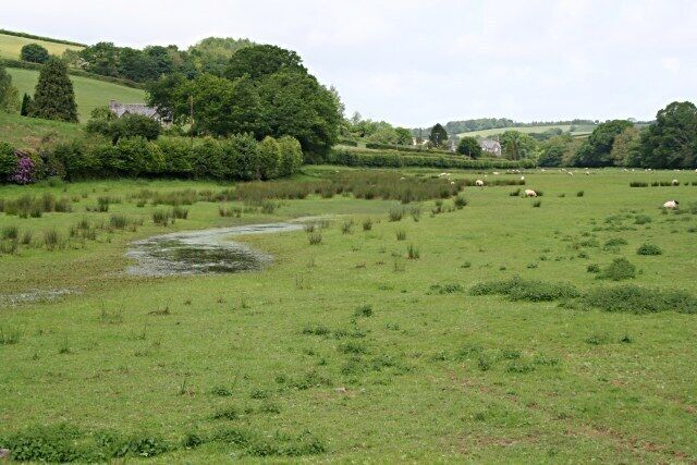 The Tamar Floodplain Looking north from the road crossing the valley bottom at Horsebridge. This view shows the northeastern part of this grid square and beyond to the next SX3975.