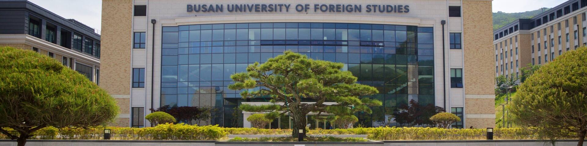 The Busan University of Foreign Studies building with a large glass facade and a central tree in the courtyard.