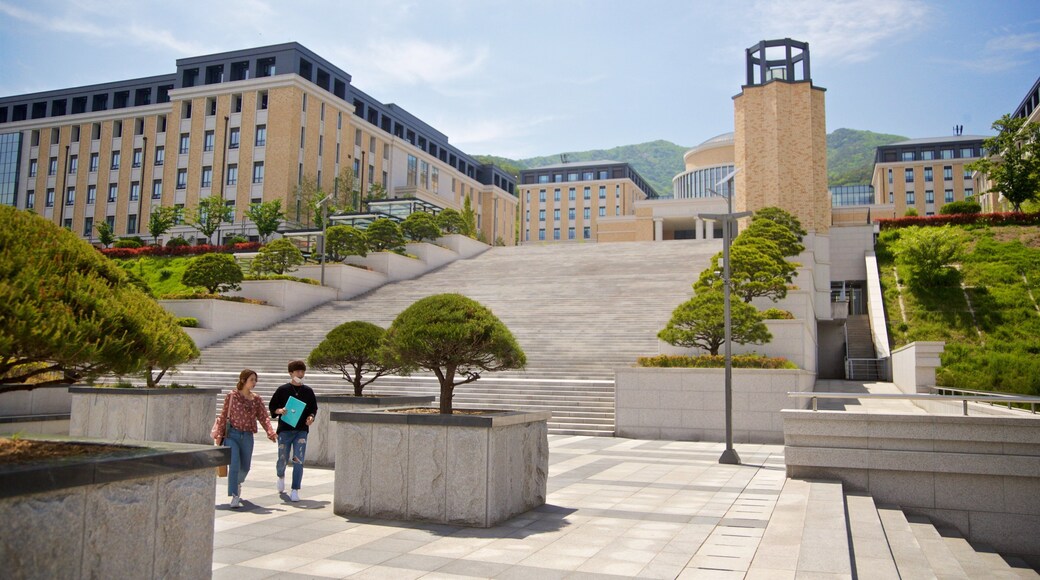 Busan University of Foreign Studies as well as a couple
