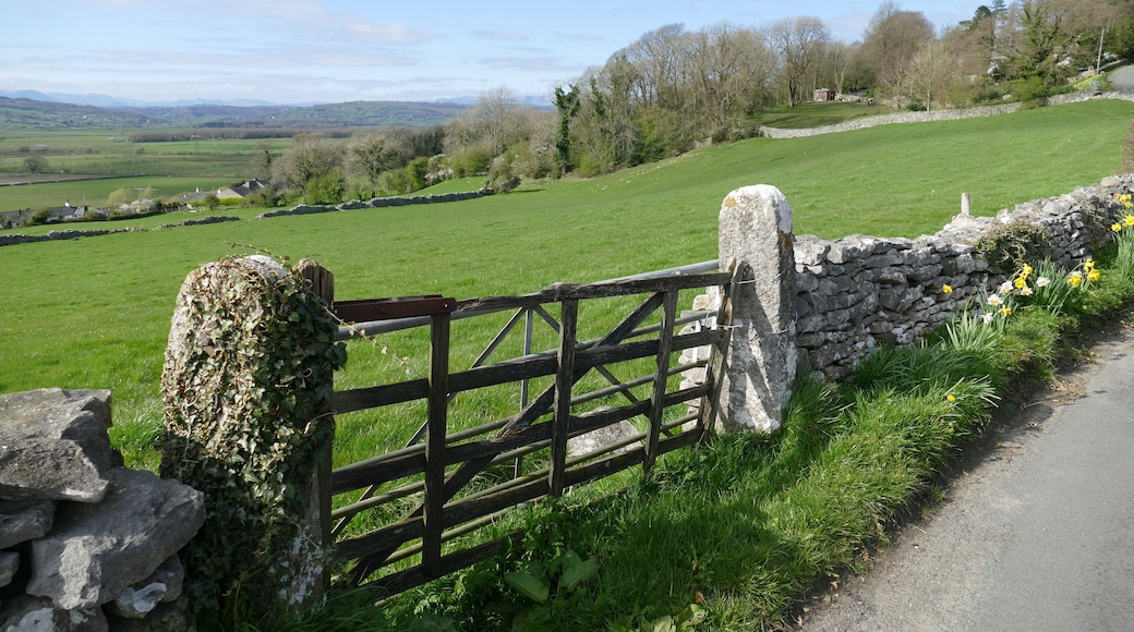 7.4.17 Hornby to Keswick