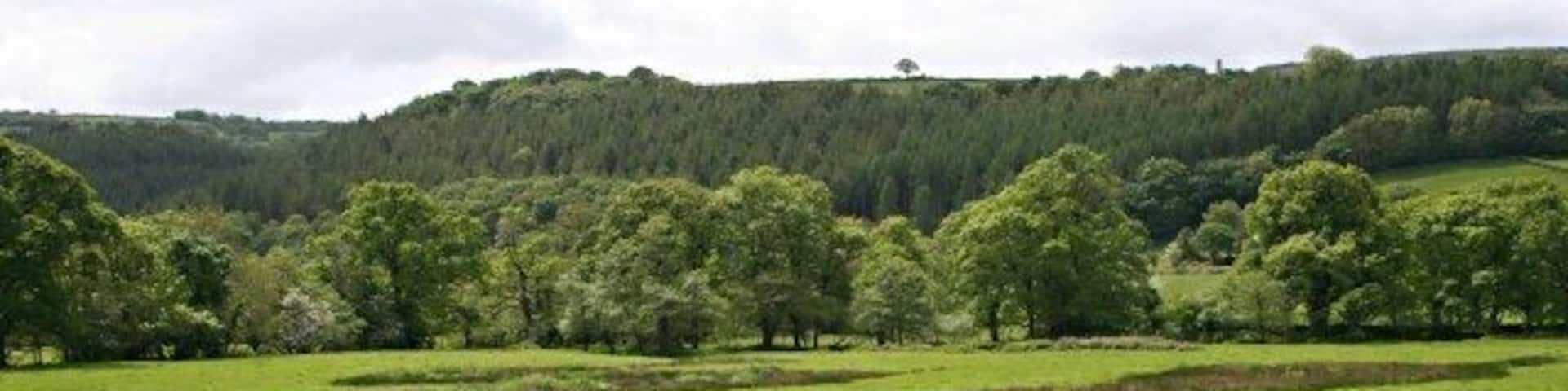 The Tamar Flood Plain near Luckett The dark patches on the field are areas of juncus grasses occupying saturated ground.
