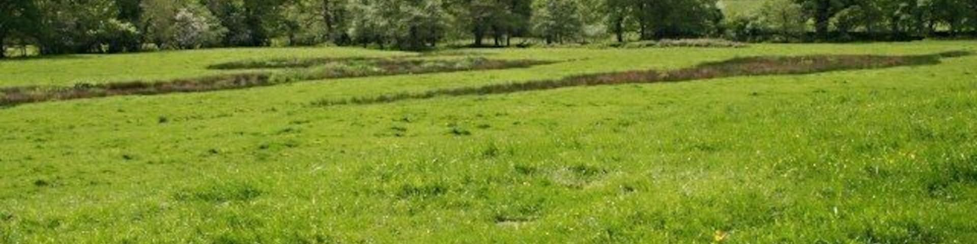 The Tamar Flood Plain near Luckett The dark patches on the field are areas of juncus grasses occupying saturated ground.
