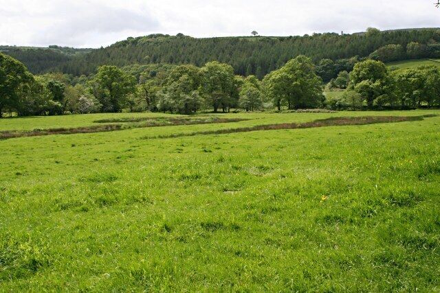 A green field with trees and hills in the background.