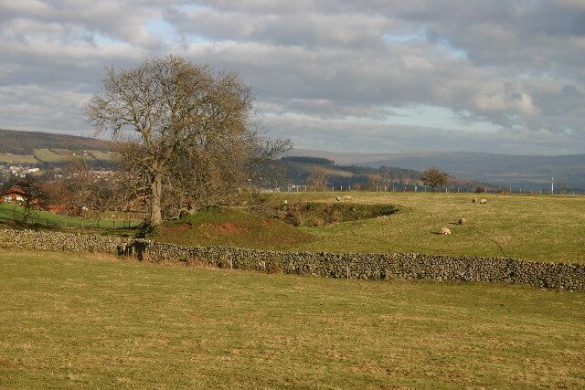 A rural landscape with a stone wall, a large tree, and a distant village.