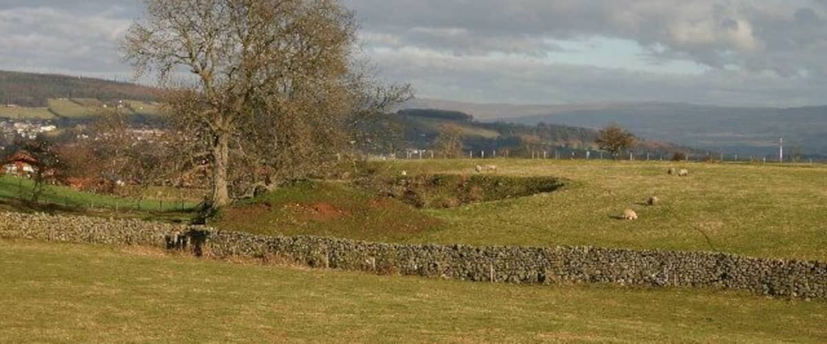 A rural landscape with a stone wall, a large tree, and a distant village.