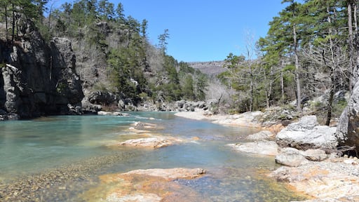 A clear river with rocky banks and dense pine trees.