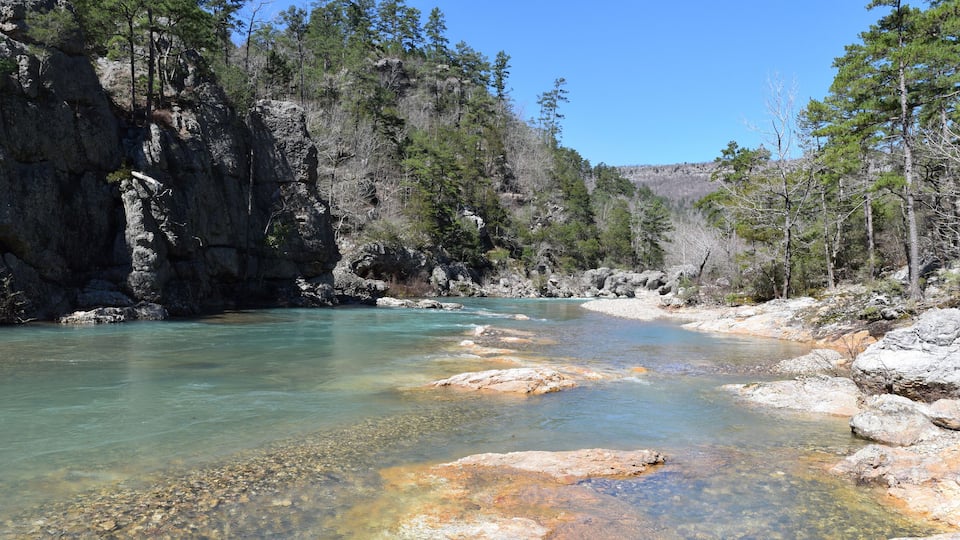 A clear river with rocky banks and dense pine trees.