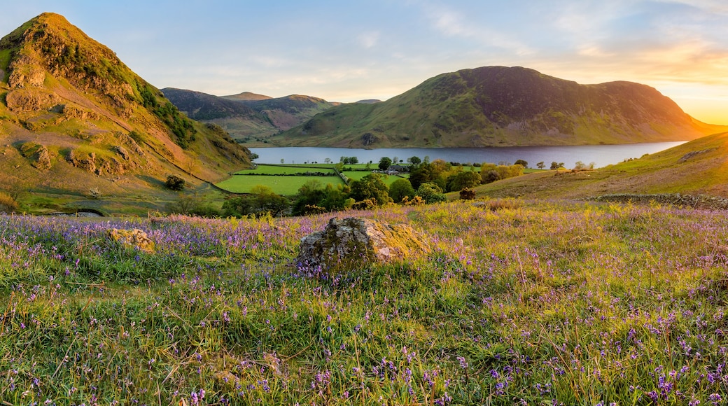 Eine Berglandschaft mit einem See, Feldern voller violetten Blumen und einem Sonnenuntergang.