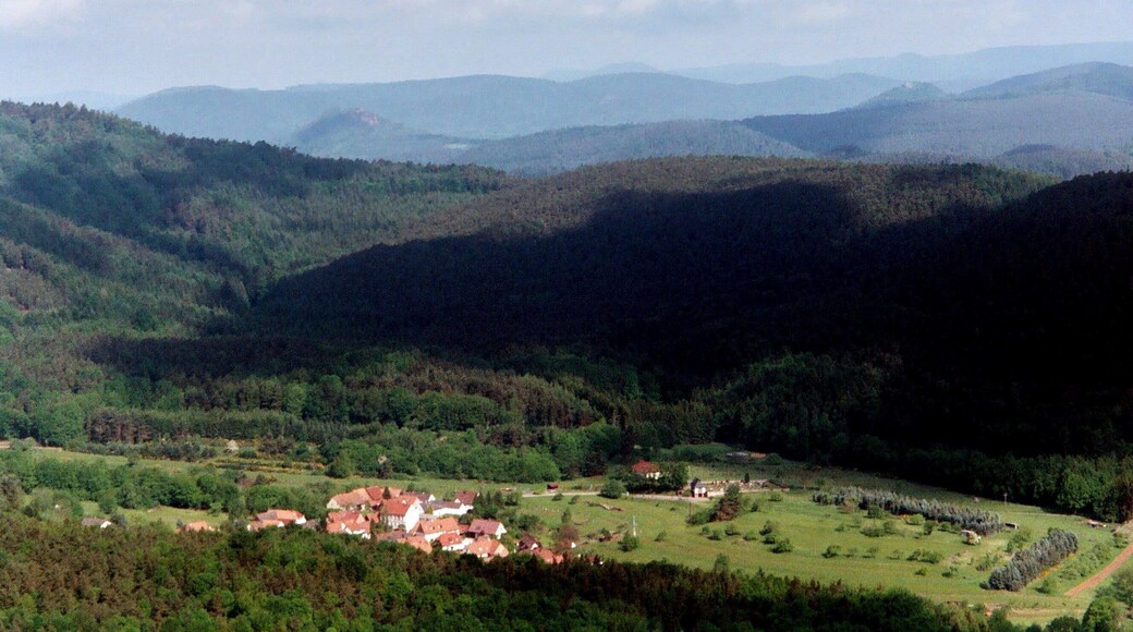 Böllenborn. view from the Stäffelsberg to the village