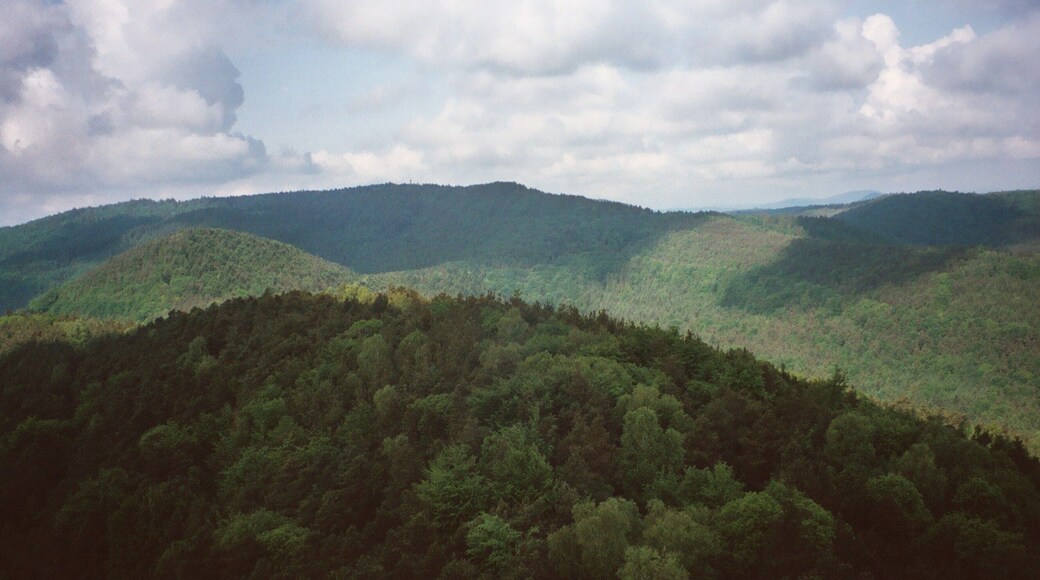 Dörrenbach, view from the Stäffelsberg to the forests
