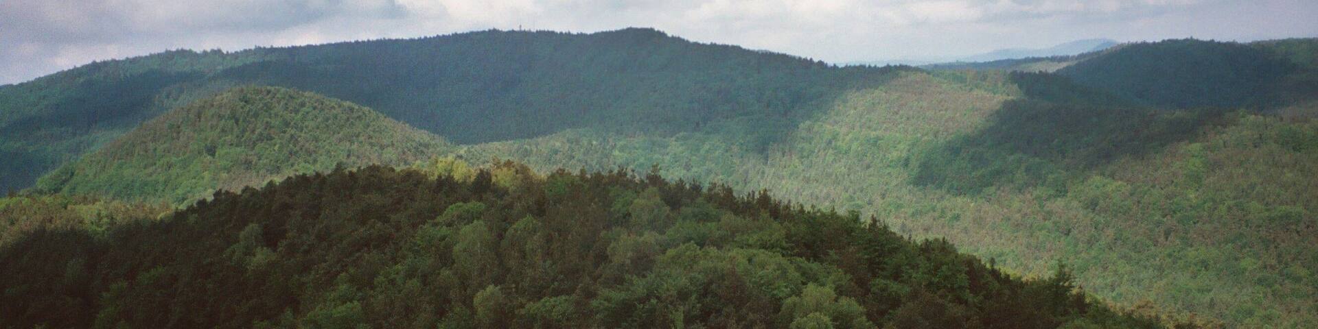 Dörrenbach, view from the Stäffelsberg to the forests