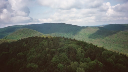 Dörrenbach, view from the Stäffelsberg to the forests