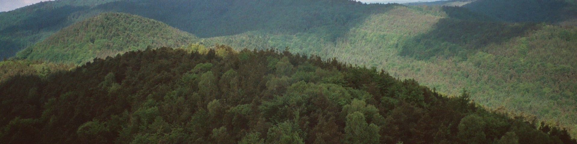Dörrenbach, view from the Stäffelsberg to the forests