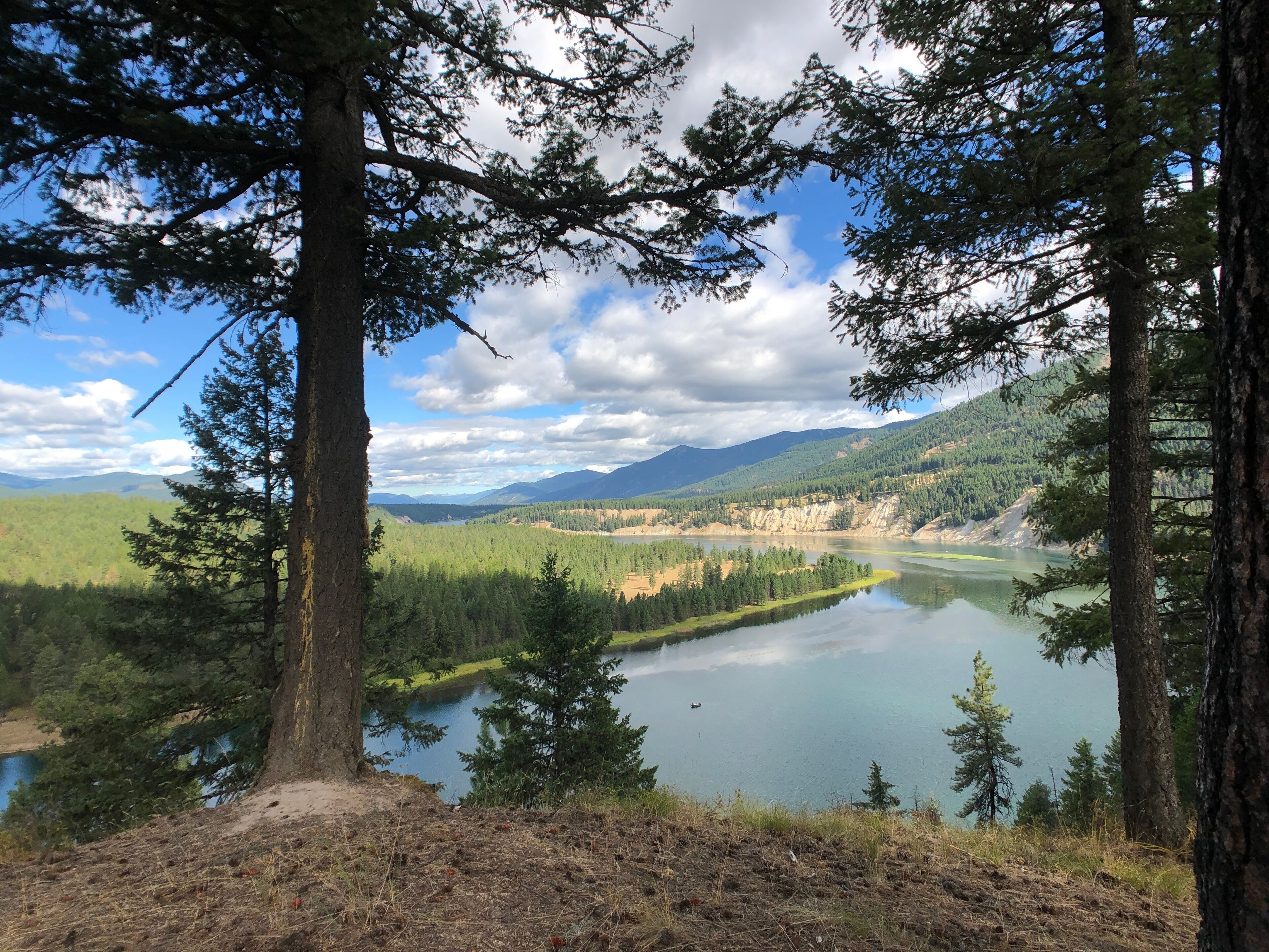 Flathead River near Thompson Falls, Montana, USA