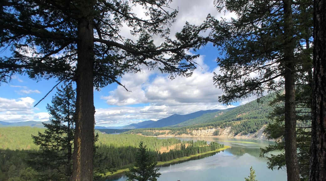 Flathead River near Thompson Falls, Montana, USA
