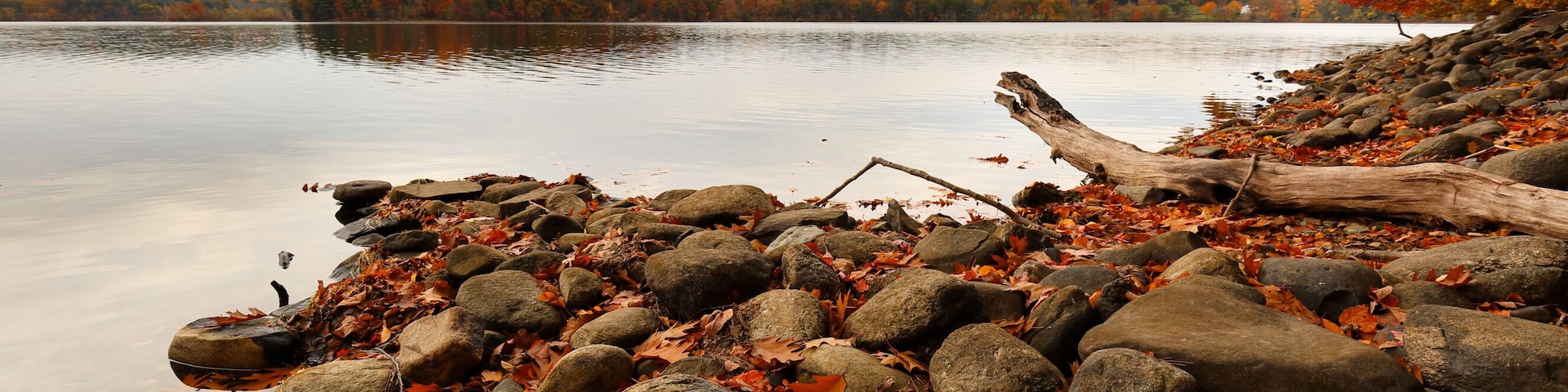 A lake surrounded by autumn leaves and rocks.