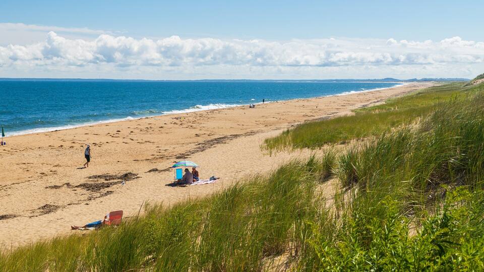 A sandy beach with people, a grassy dune, and the ocean.