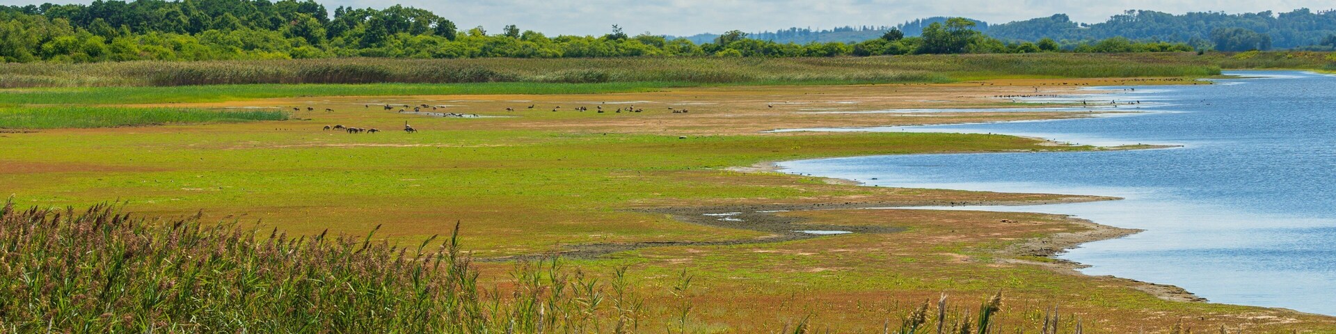 Parker River National Wildlife Refuge featuring wetlands
