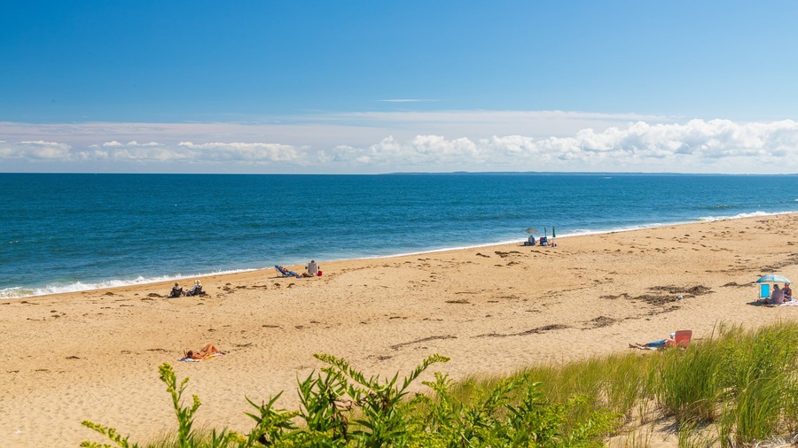 Ein Strand mit badenden und entspannten Personen.