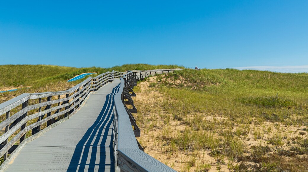 Parker River National Wildlife Refuge featuring tranquil scenes