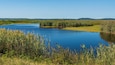 Un lac paisible, bordé de roseaux denses et de zones herbeuses.