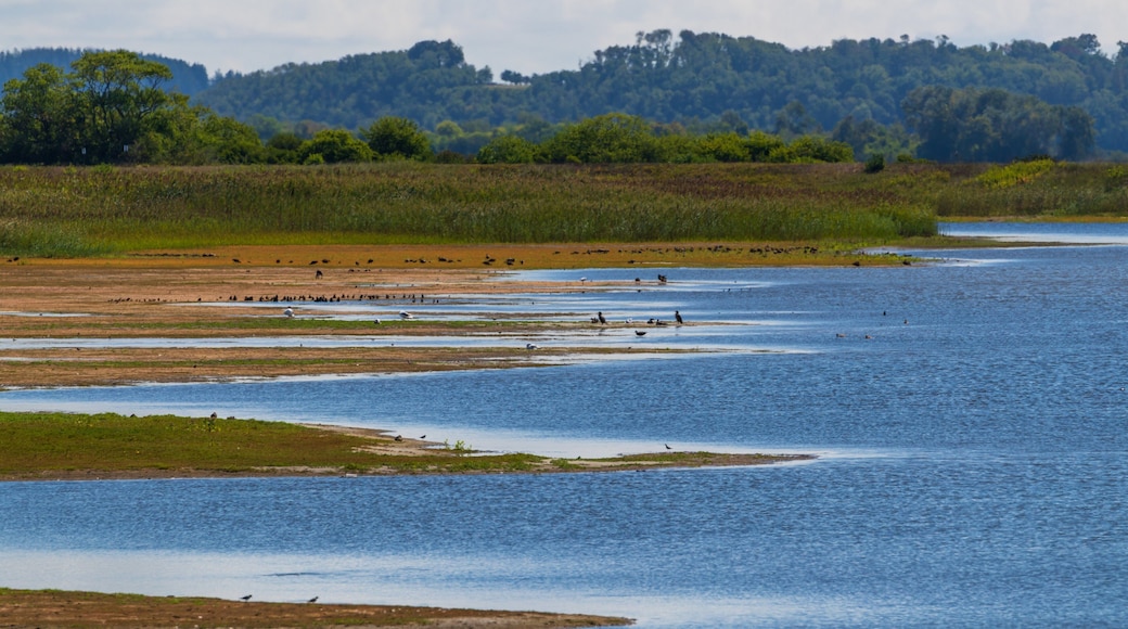 Parker River National Wildlife Refuge which includes wetlands