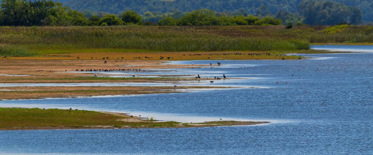 Parker River National Wildlife Refuge which includes wetlands