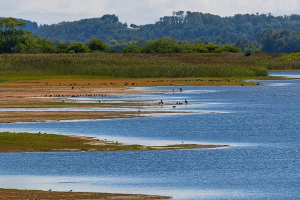 Parker River National Wildlife Refuge which includes wetlands