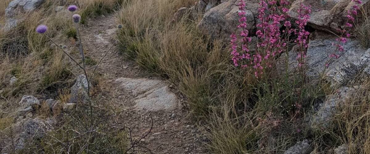 Approaching sunset on the Arizona Trail
