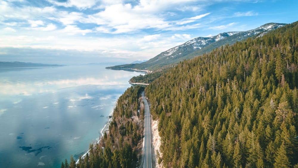 A coastal road winding through a dense forest with a mountain range in the background.