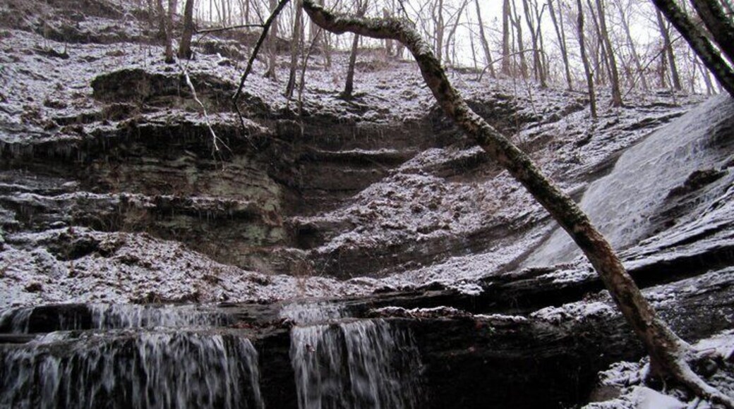 Jackson Falls off of the Natchez Trace. It was snowing and my husband and I were antsy. We drove about 45 min to the falls and on our way home we could barely see bc of all the snow. An adventure to say the least. Thank God for Subaru's.