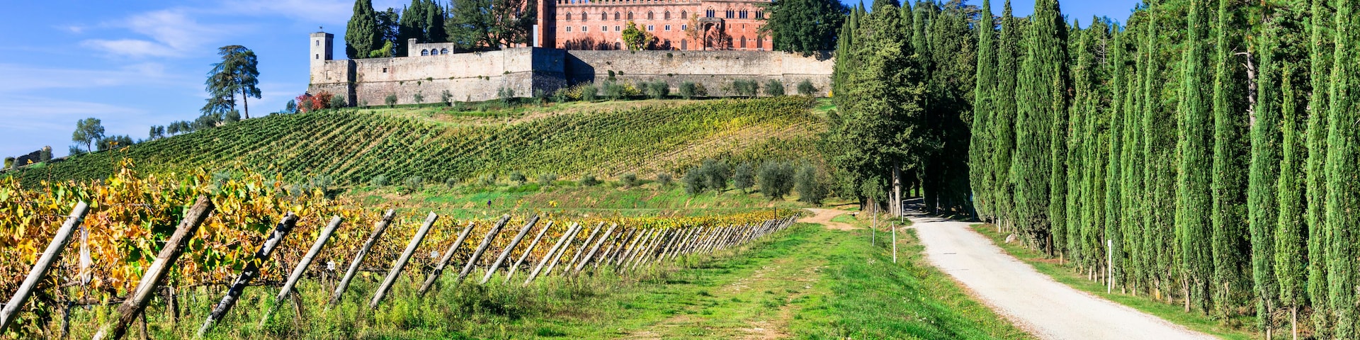 Un vignoble avec des rangées de vignes, un chemin de terre et un château en arrière-plan.