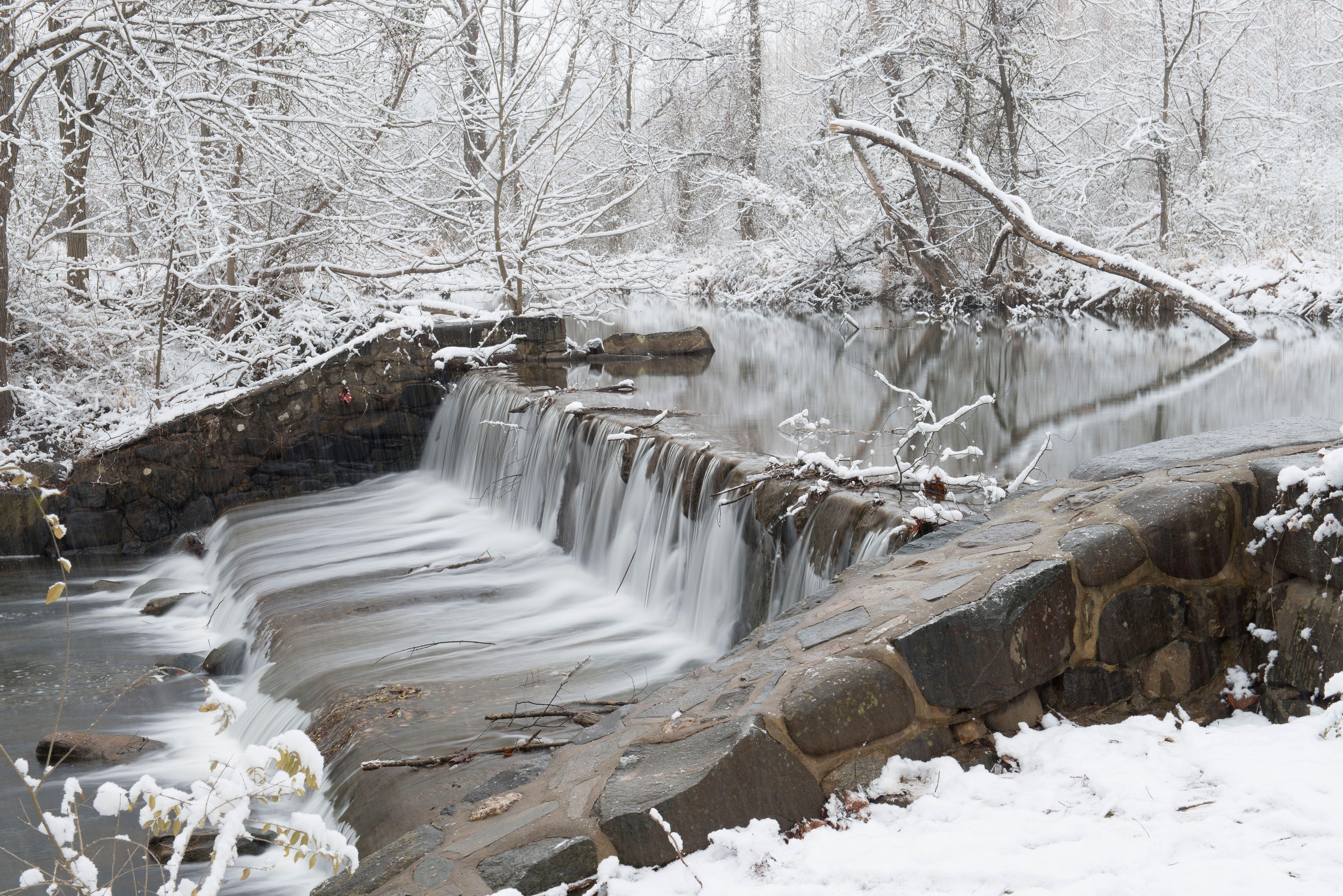 Una cascata ricoperta di neve in una zona boschiva.