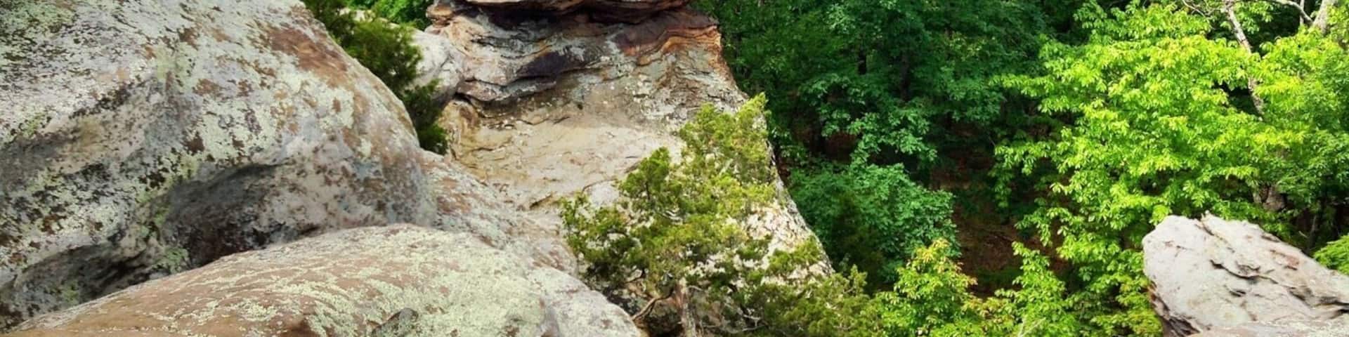 A forested landscape with prominent rock formations.