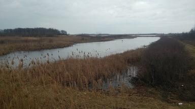 Pickerel Creek in winter.