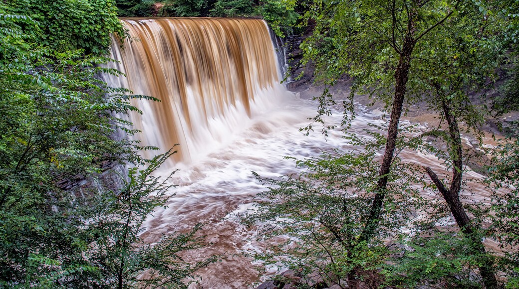 Dramatic Vickery Creek Falls at Old Mill Park during flood.