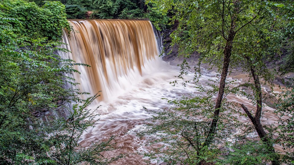 A waterfall surrounded by dense green foliage.