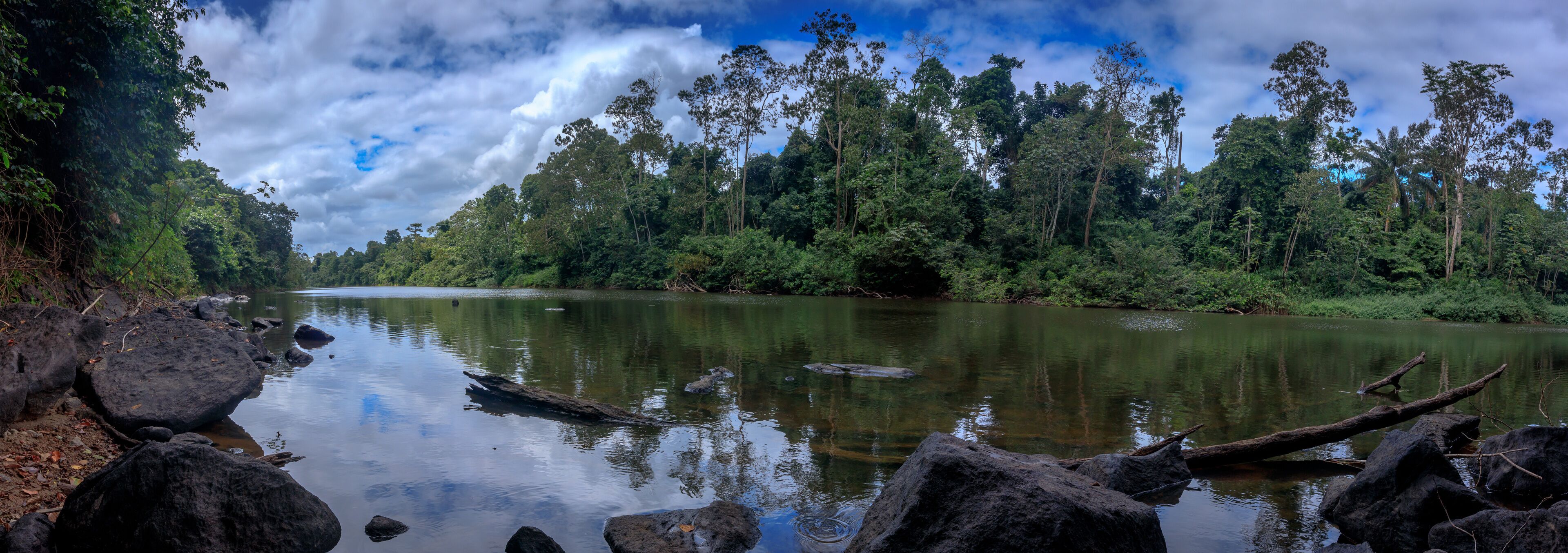 The beautiful nature of Surinam