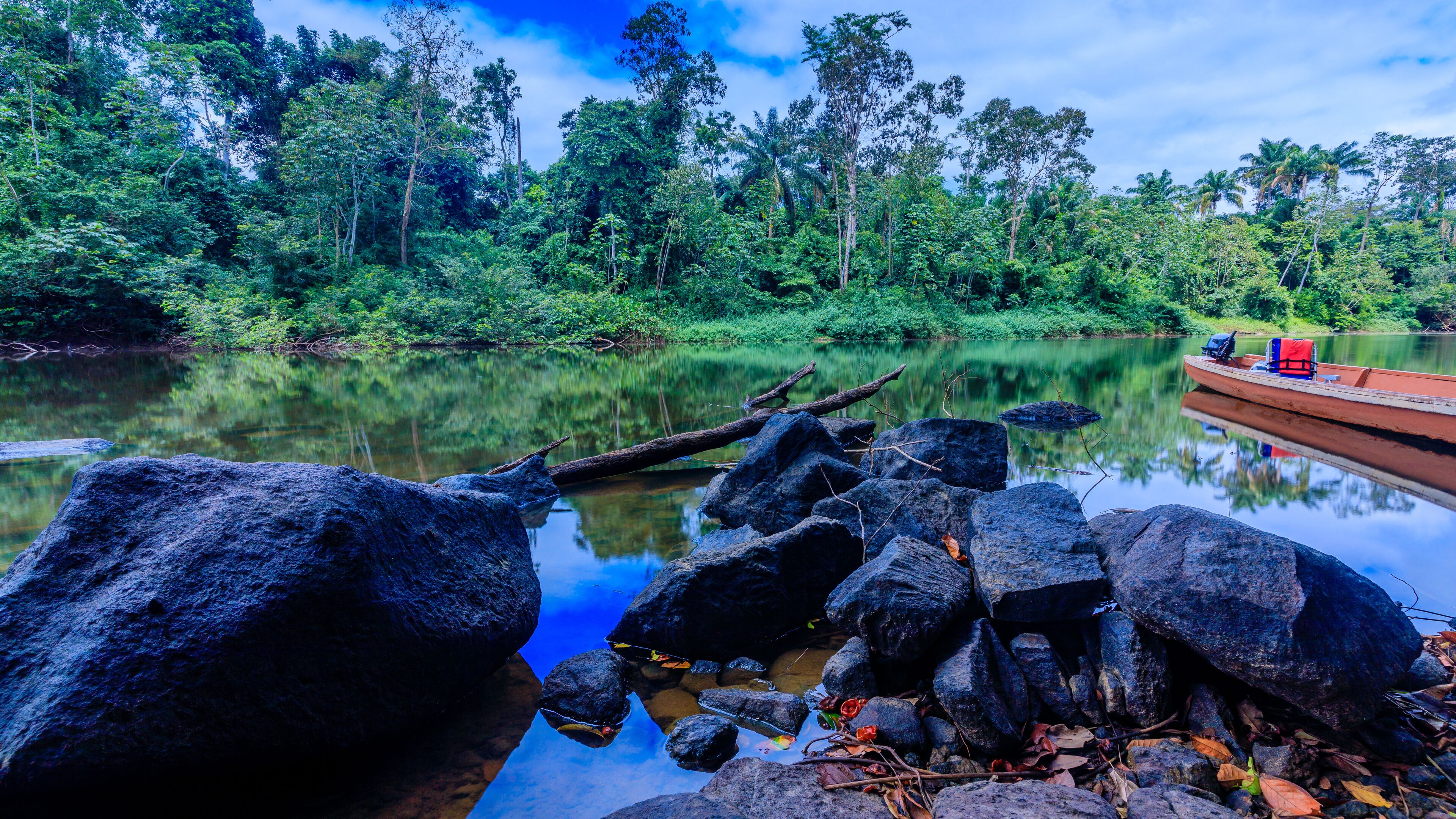 The beautiful nature of Surinam