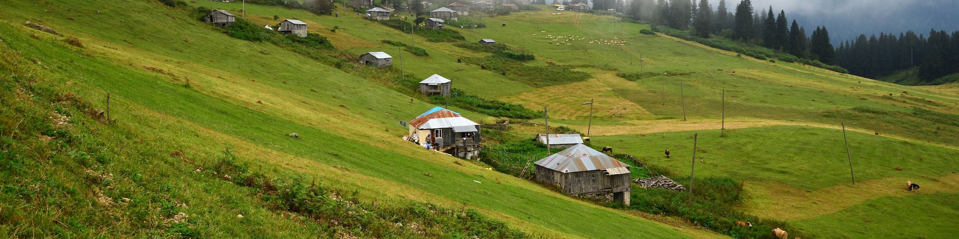Golyani Plateau is in Giresun, Turkey.