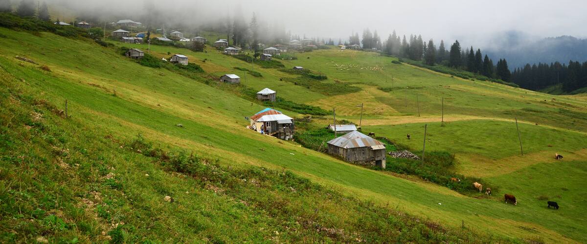 A misty hillside with scattered houses and grazing cattle.