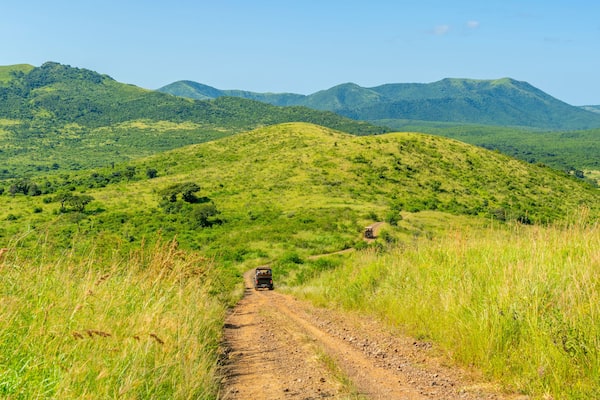 A dirt road winding through a grassy landscape with rolling hills and mountains in the background.