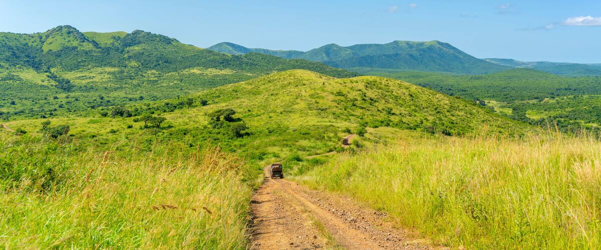 A dirt road winding through a grassy landscape with rolling hills and mountains in the background.