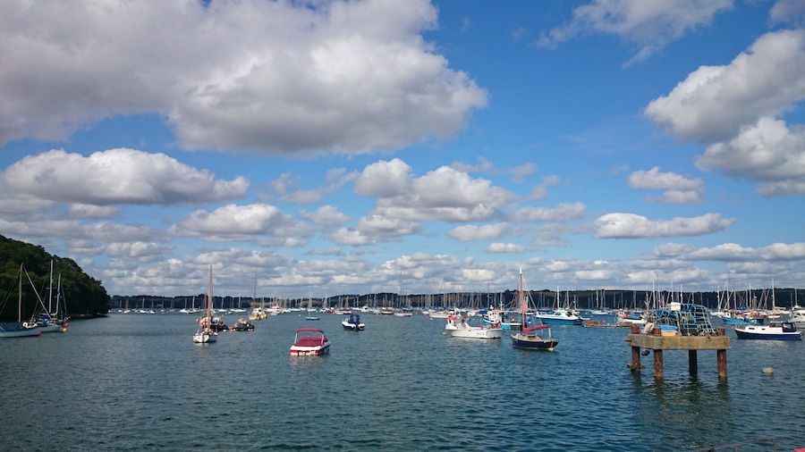A marina with various boats docked, a clear sky with scattered clouds, and a forested hill in the background.