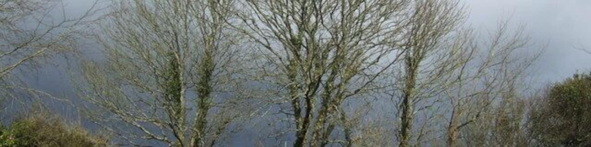 St Martin's churchyard The threatening sky didn't come to anything!