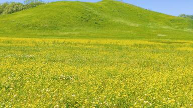 Largest Mound located at Monumental Earthworks at Poverty Point in Louisiana. This is an UNESCO World Heritage Site (since 2014).