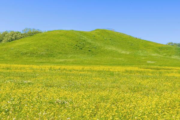 Largest Mound located at Monumental Earthworks at Poverty Point in Louisiana. This is an UNESCO World Heritage Site (since 2014).