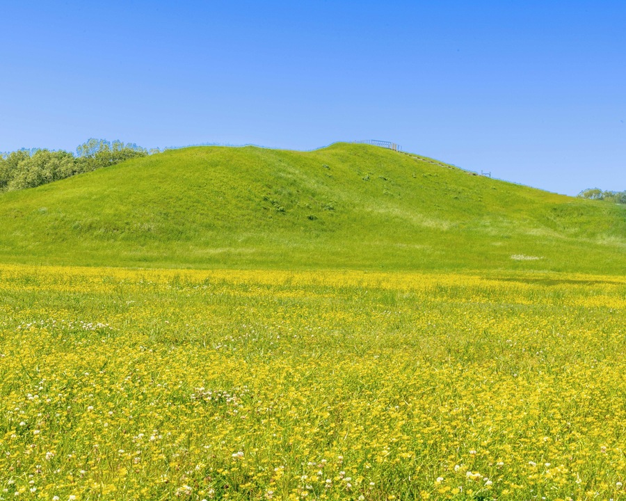 Largest Mound located at Monumental Earthworks at Poverty Point in Louisiana. This is an UNESCO World Heritage Site (since 2014).